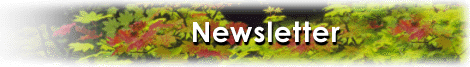 LymeNet Newsletter Library